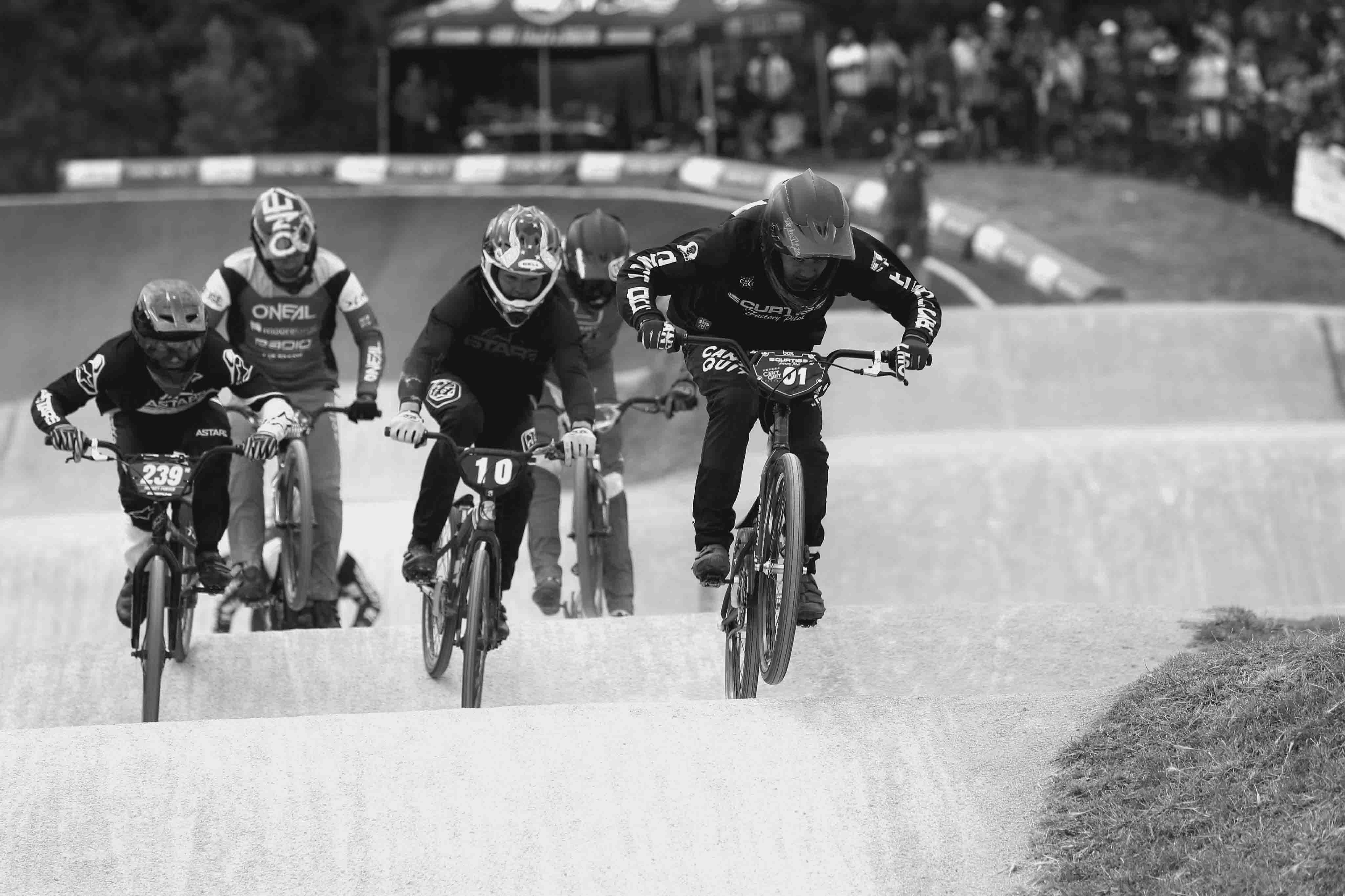 Curtis Bikes